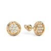 Yellow Gold Earrings 